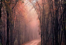 6686体育官网：[高尔夫]LPGA揭幕战金阿林领先2杆夺冠 科达第2高宝璟第6.