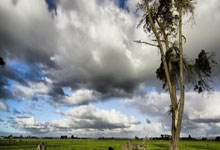 奥利塞法国队生涯首球是直接任意球，为年后第一人.