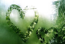 6686体育官网：约基奇16000分里程碑！多角度回放后场压哨三分：一脸平静又装到了.